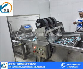 翻轉(zhuǎn)式風干機 正康食品機械的全自動環(huán)保解決方案